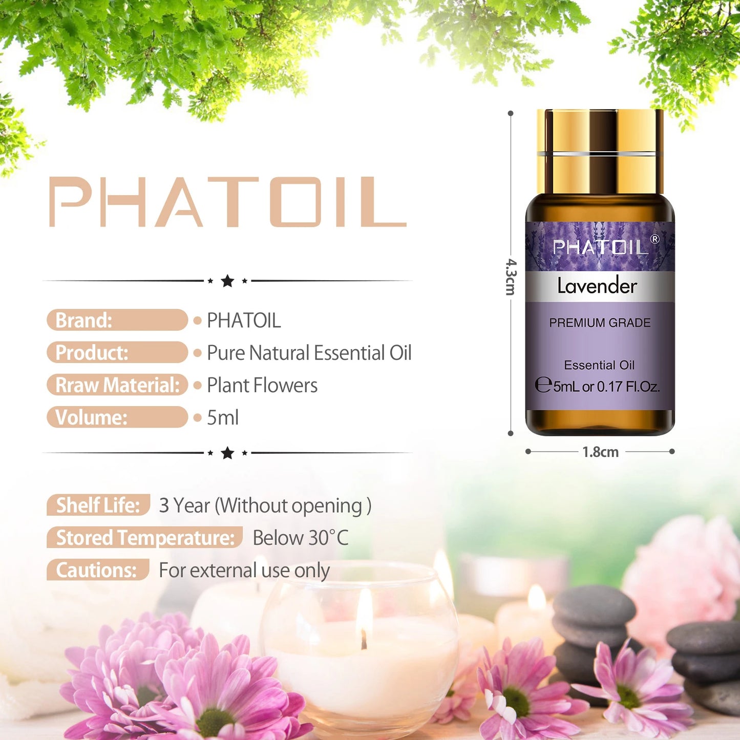15PCS Essential Oils Set
