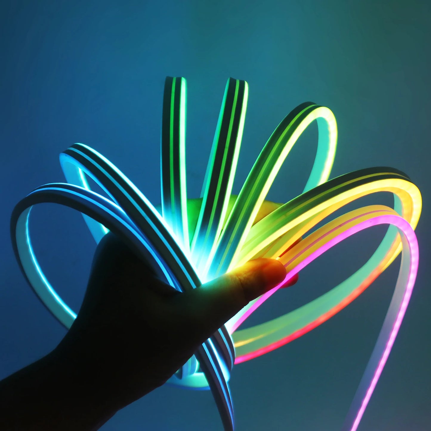RGBIC Neon Decorative LED Lights Strip